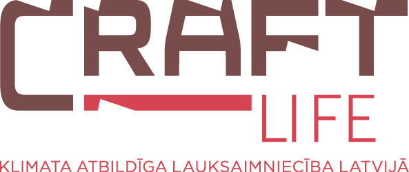Life Craft logo